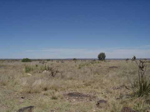 top of mesa